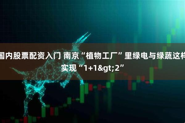 国内股票配资入门 南京“植物工厂”里绿电与绿蔬这样实现“1+1>2”