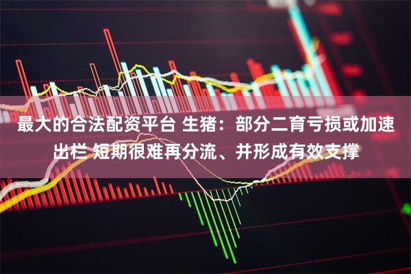 最大的合法配资平台 生猪：部分二育亏损或加速出栏 短期很难再分流、并形成有效支撑